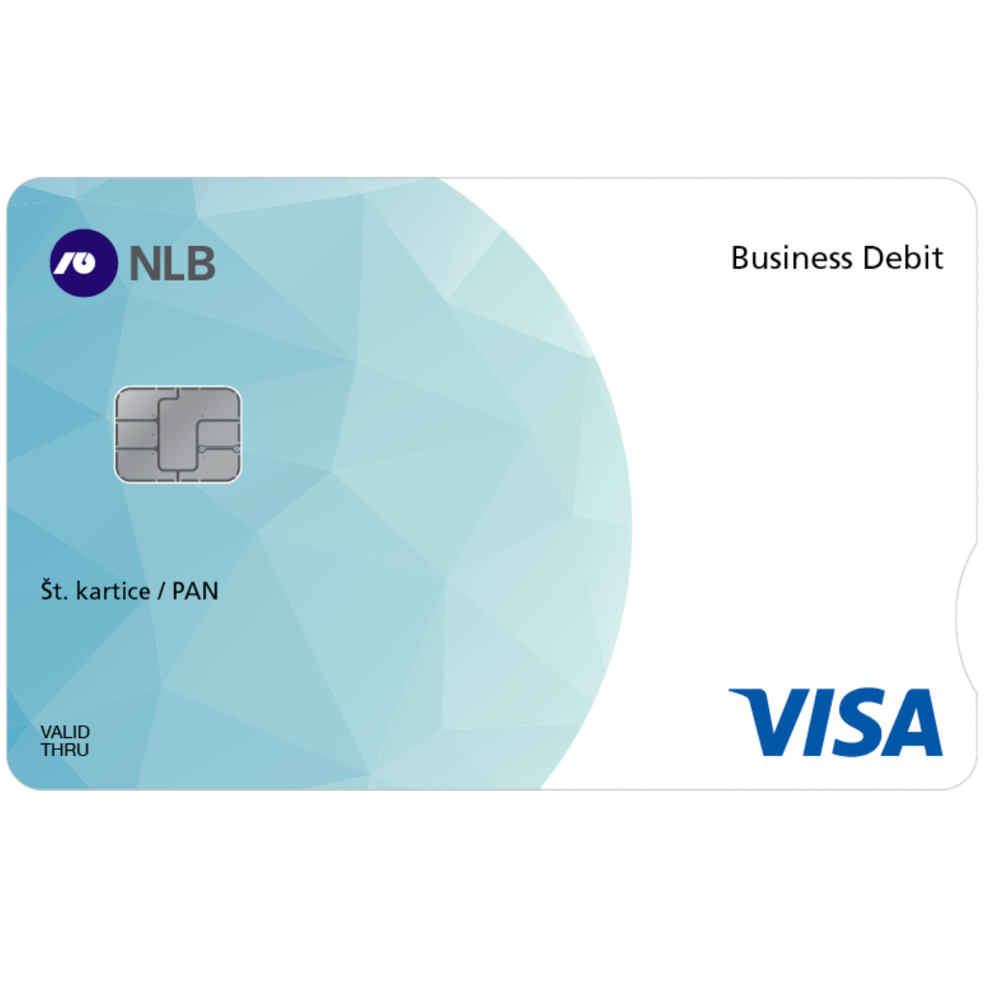 Visa Business Electron