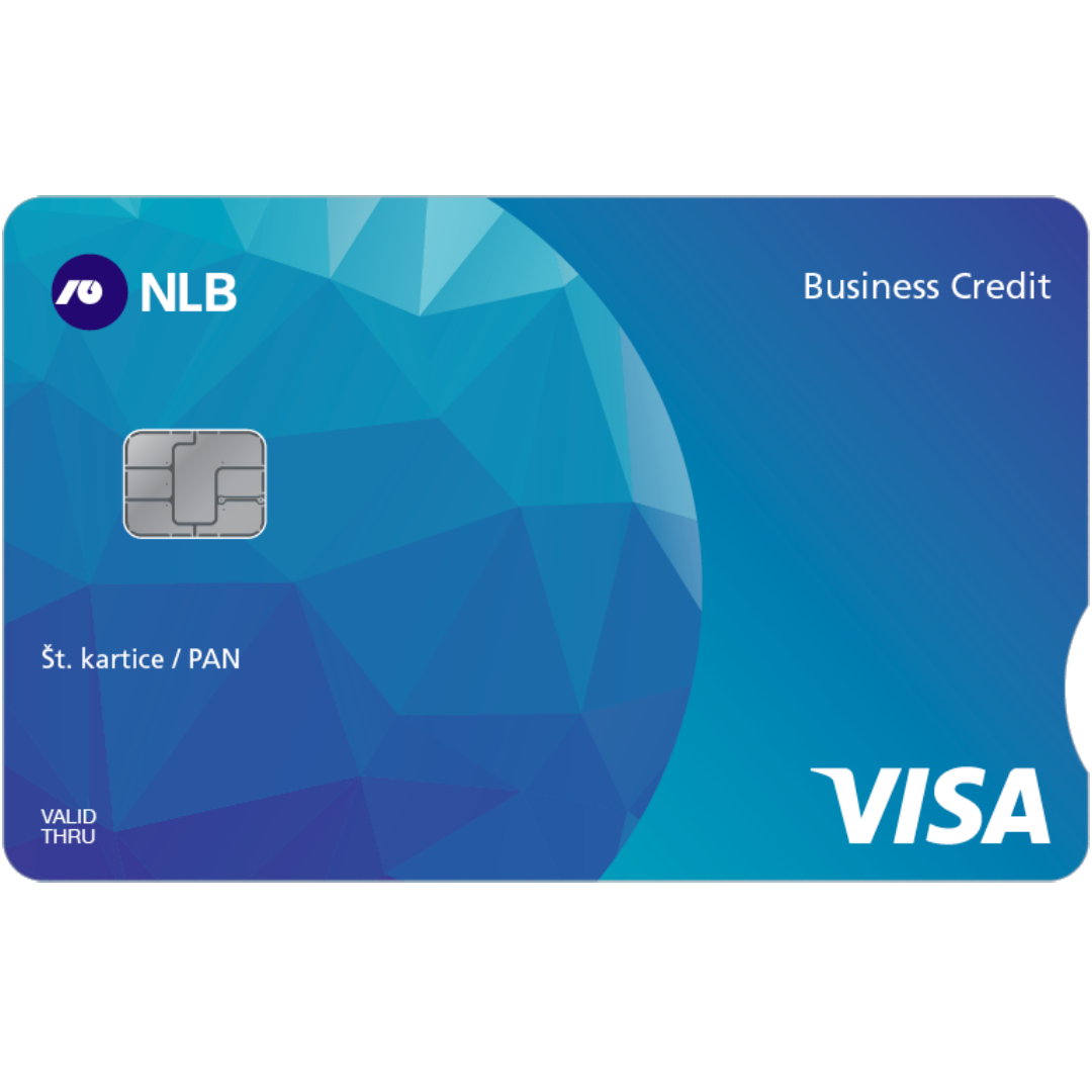 Visa Business Revolving